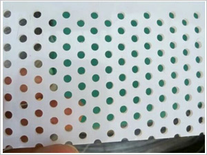 塑料板沖孔網(wǎng)