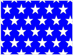 五角孔沖孔網(wǎng)