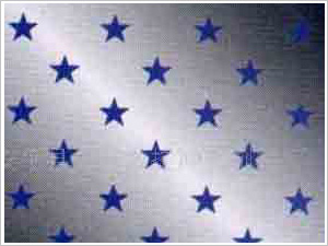 五角孔沖孔網(wǎng)